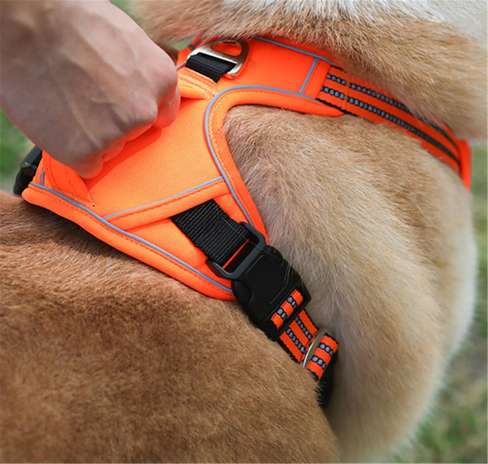 Durable Waterproof Pet Harness