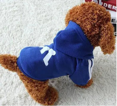 Casual Dog Hoodie
