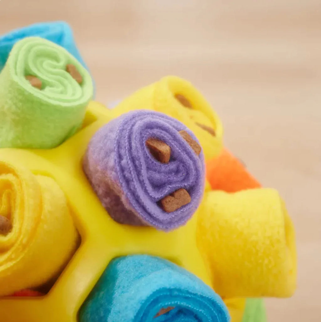 Dog Sniffing Puzzle Ball