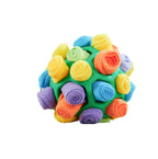 Dog Sniffing Puzzle Ball