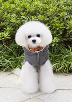 Winter Cotton Outfit for Dogs