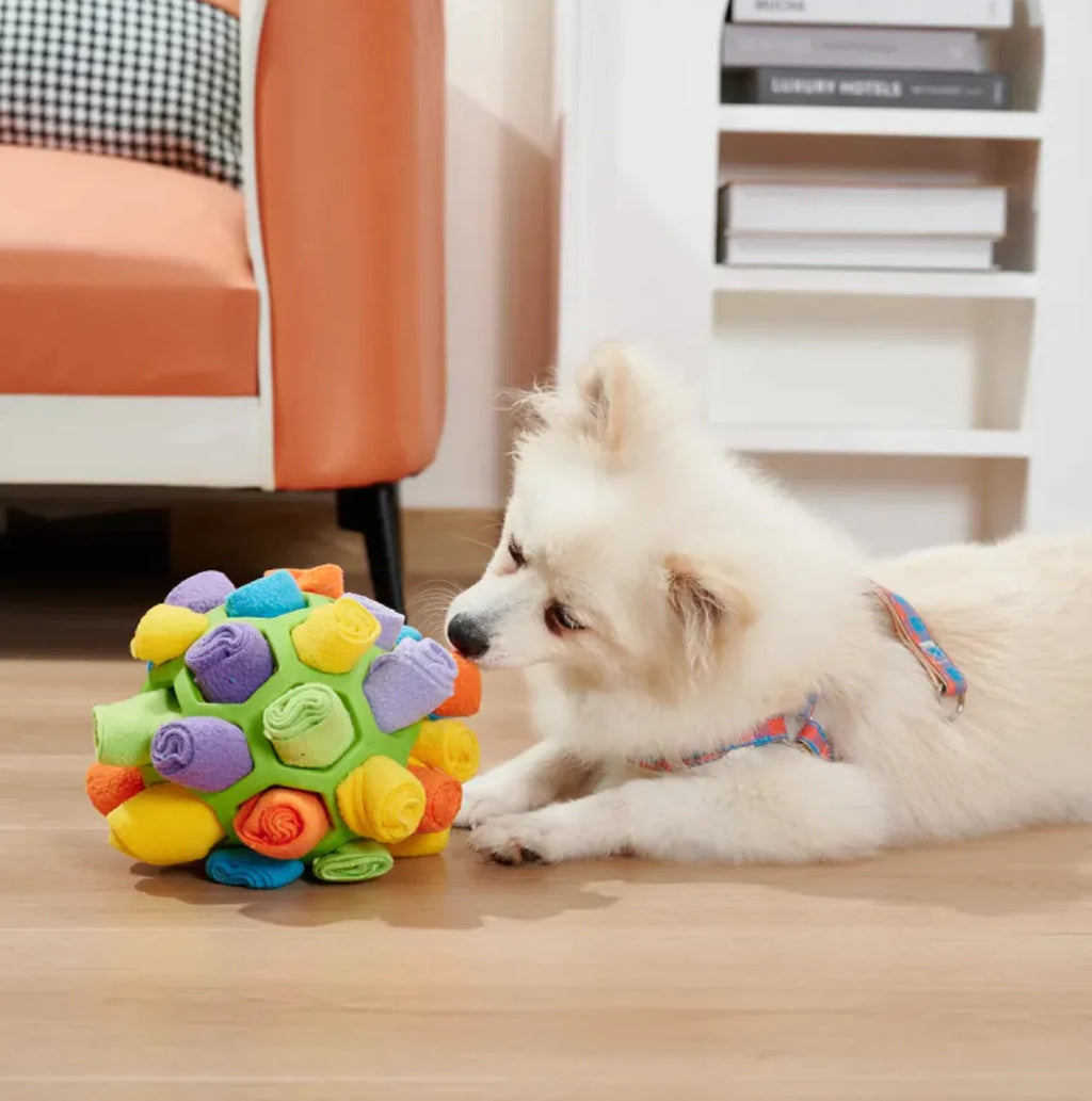 Dog Sniffing Puzzle Ball