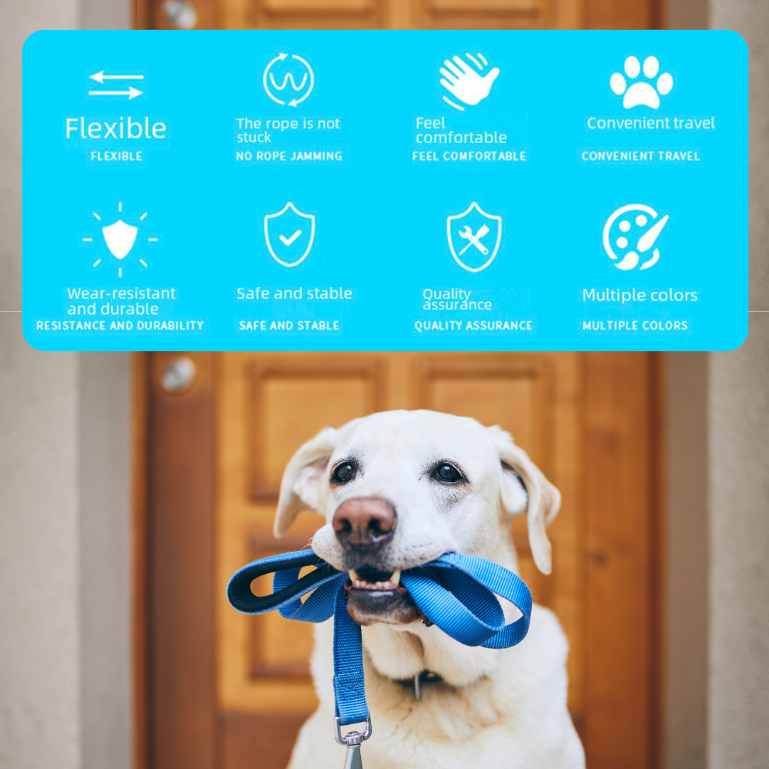 Automatic Retractable Dog Leash