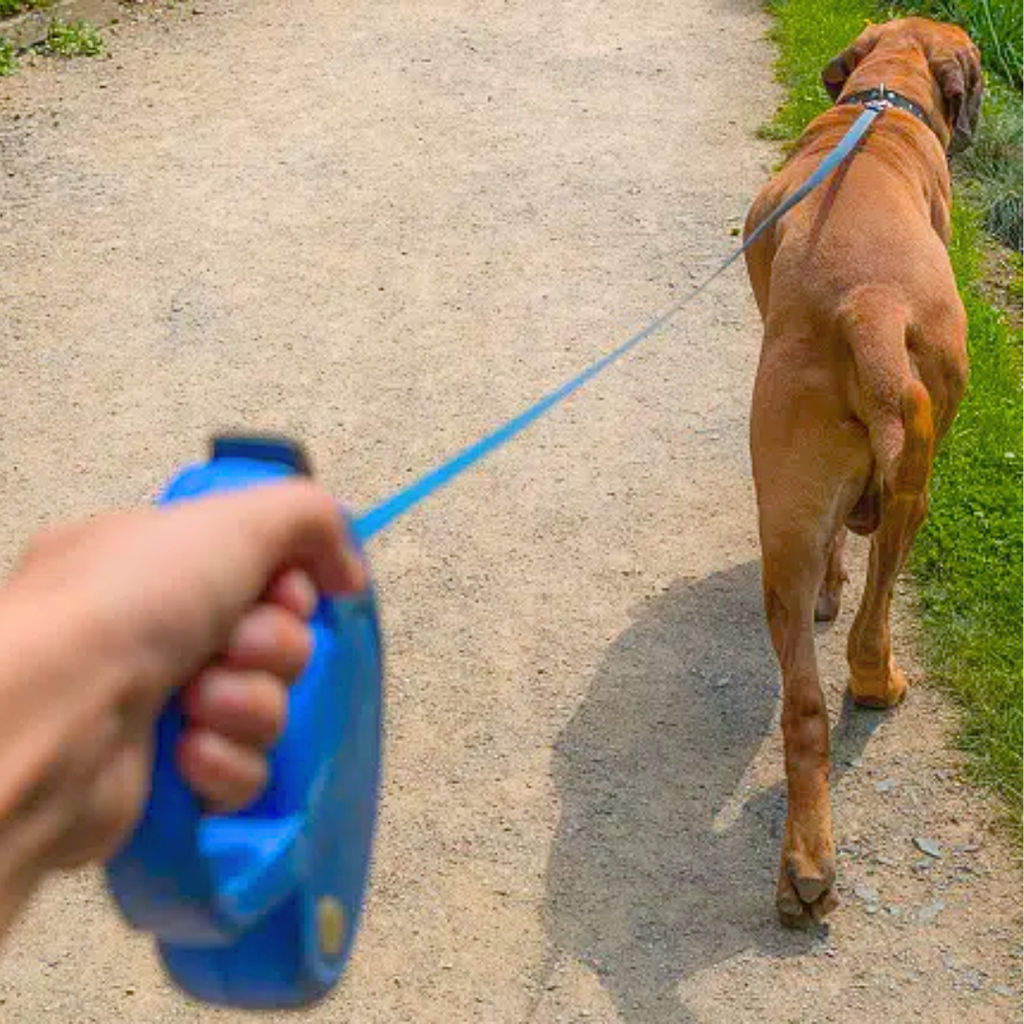 Automatic Retractable Dog Leash