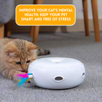 Smart Cat Doughnut Toy