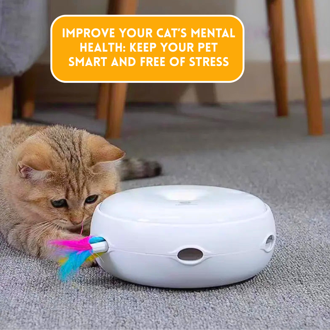 Smart Cat Doughnut Toy