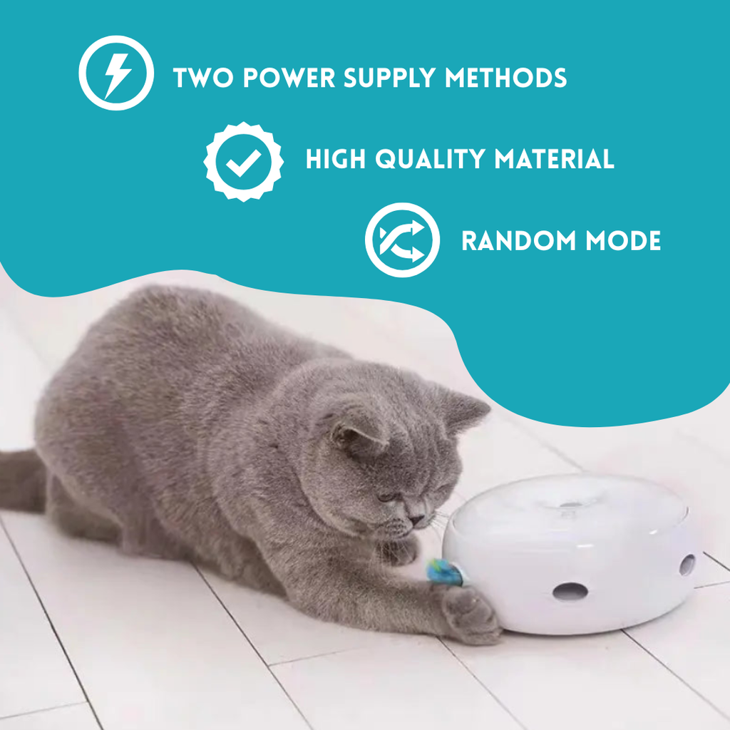 Smart Cat Doughnut Toy