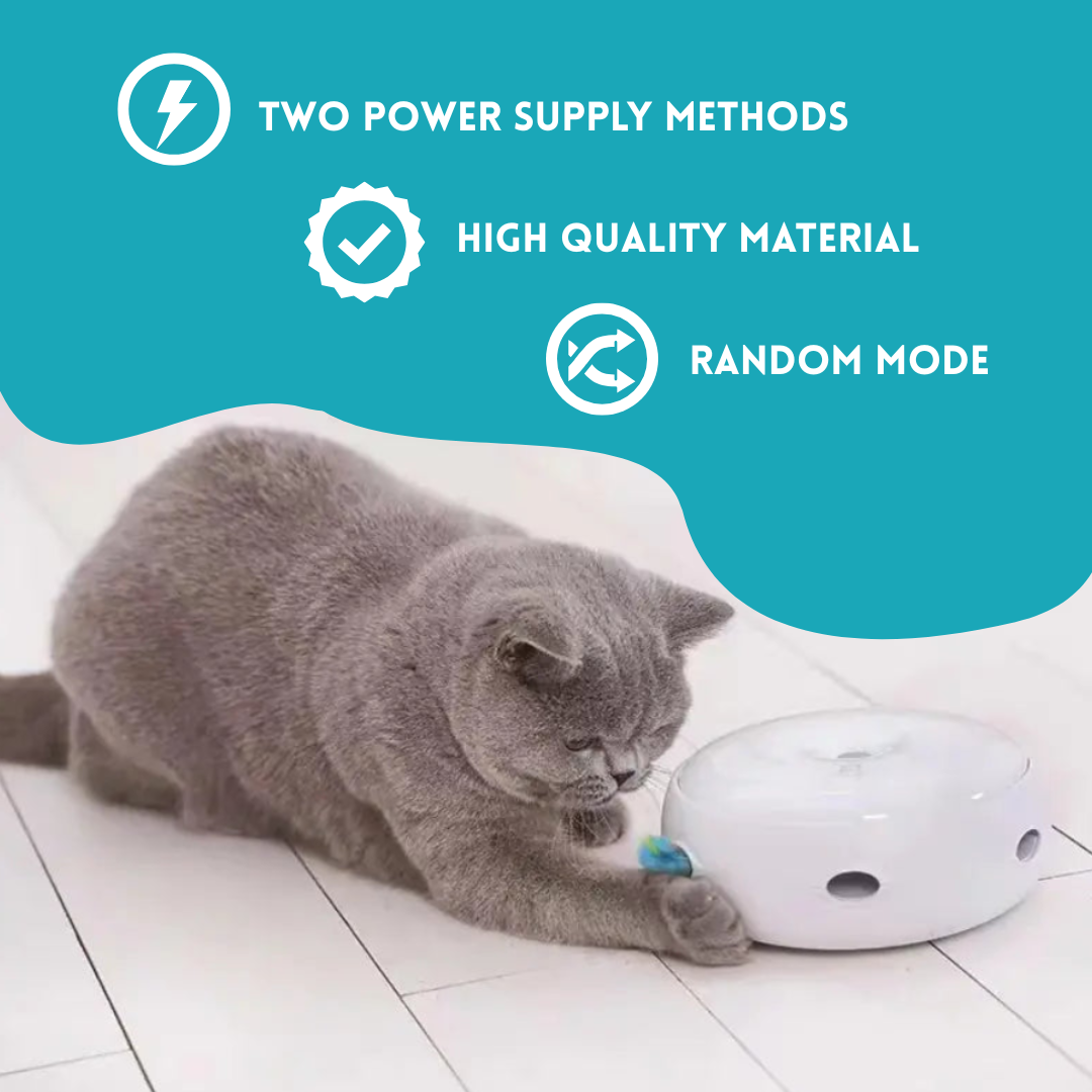 Smart Cat Doughnut Toy