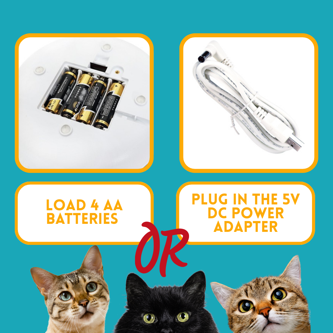 Smart Cat Doughnut Toy