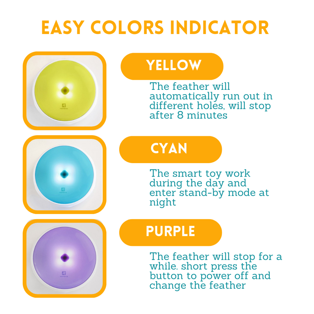 Smart Cat Doughnut Toy