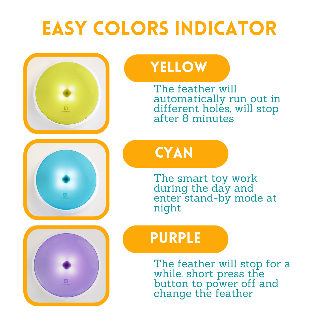 Smart Cat Doughnut Toy