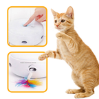 Smart Cat Doughnut Toy