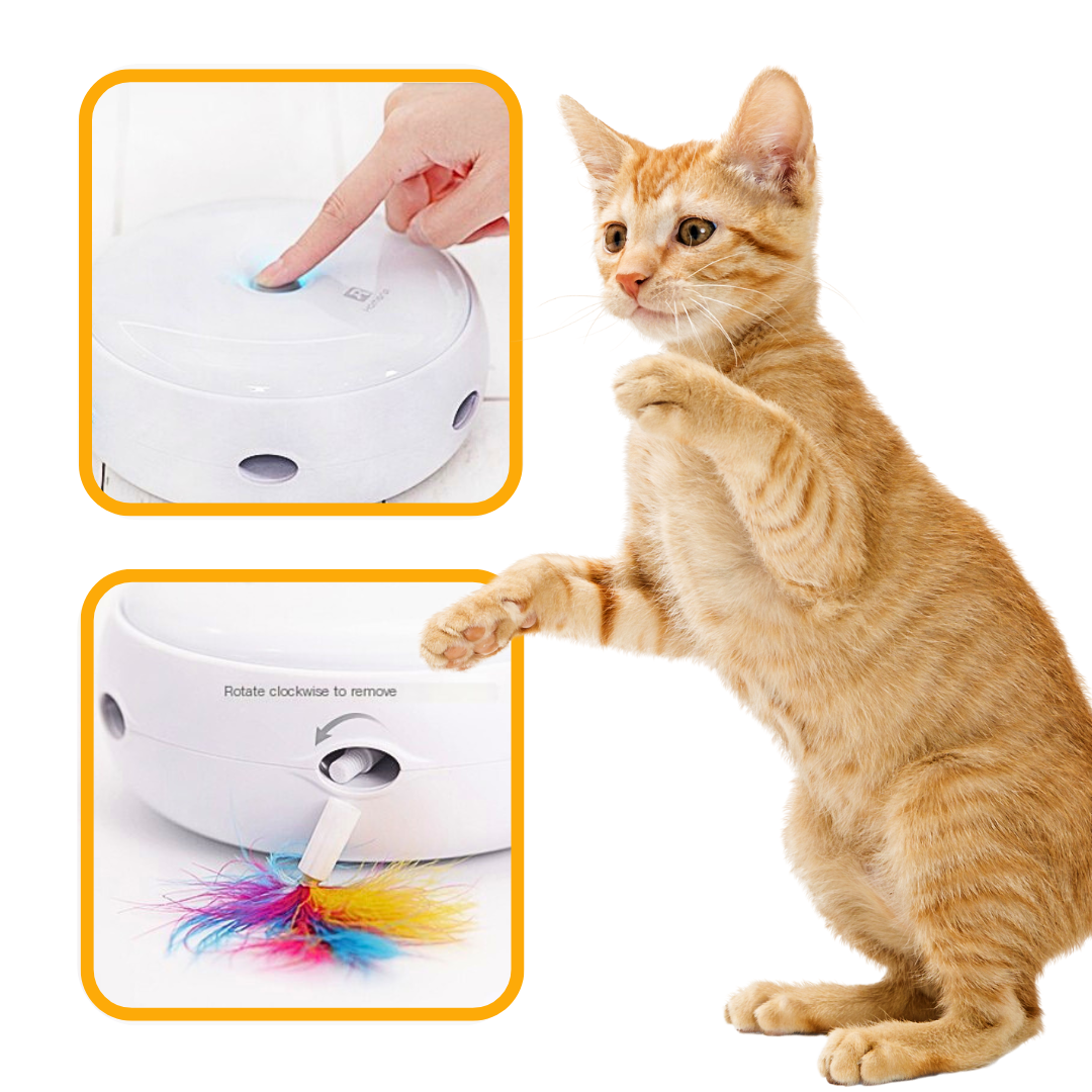 Smart Cat Doughnut Toy