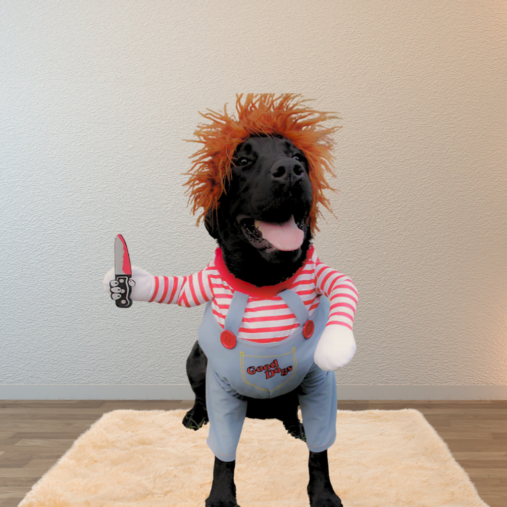 Chucky Costume for Dogs
