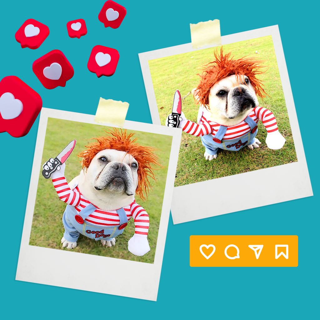 Chucky Costume for Dogs