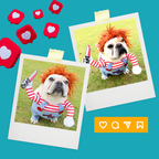 Chucky Costume for Dogs