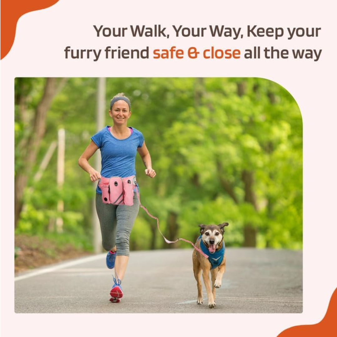 Waist Dog Leash Pack