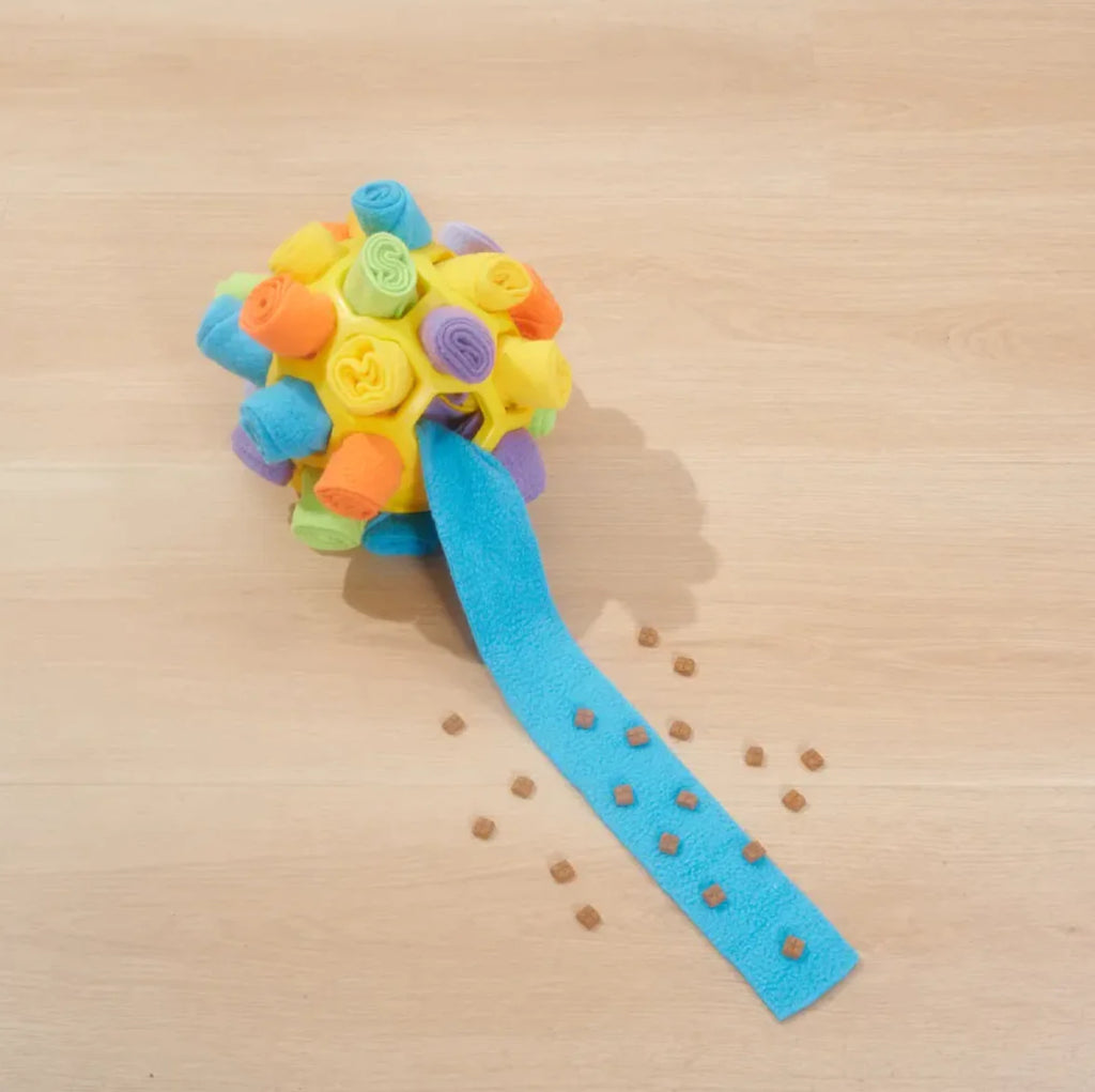 Dog Sniffing Puzzle Ball