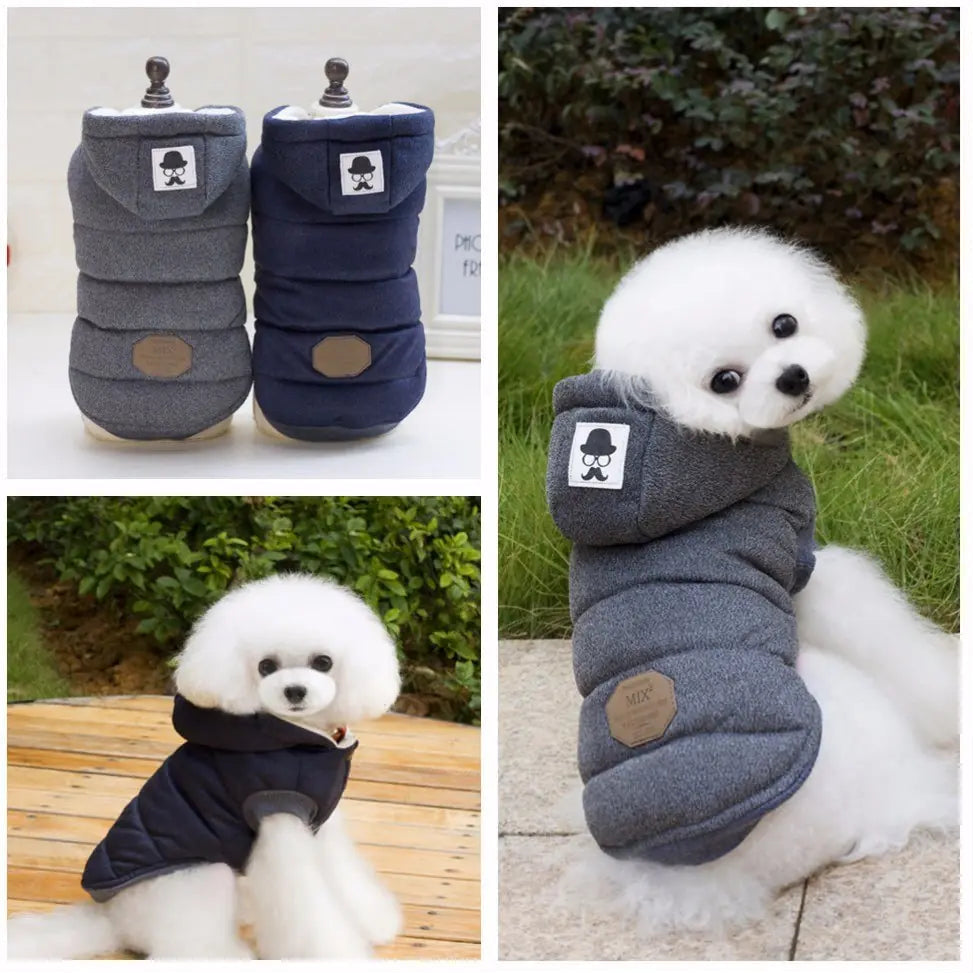 Winter Cotton Outfit for Dogs
