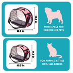 Transparent Pet Carrier