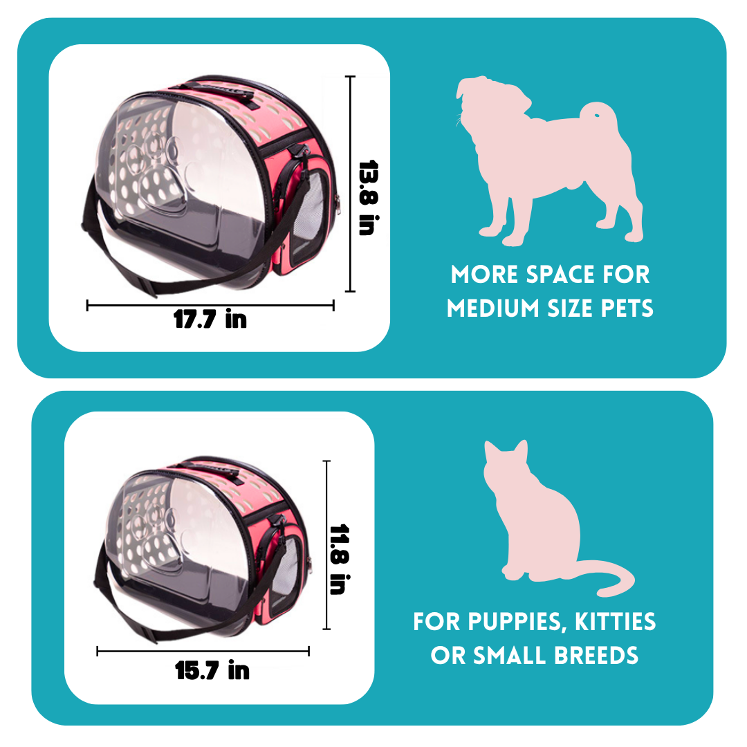 Transparent Pet Carrier