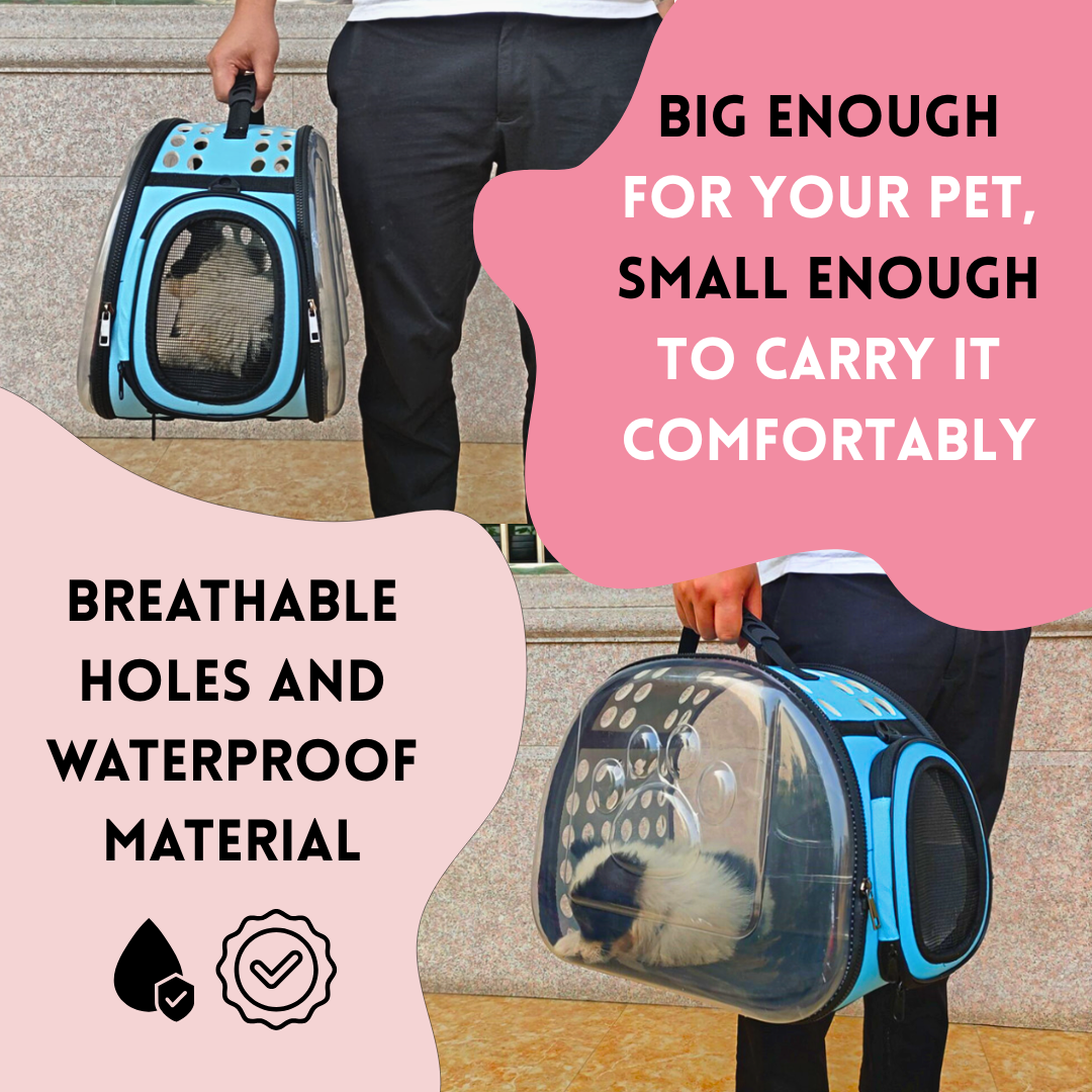 Transparent Pet Carrier