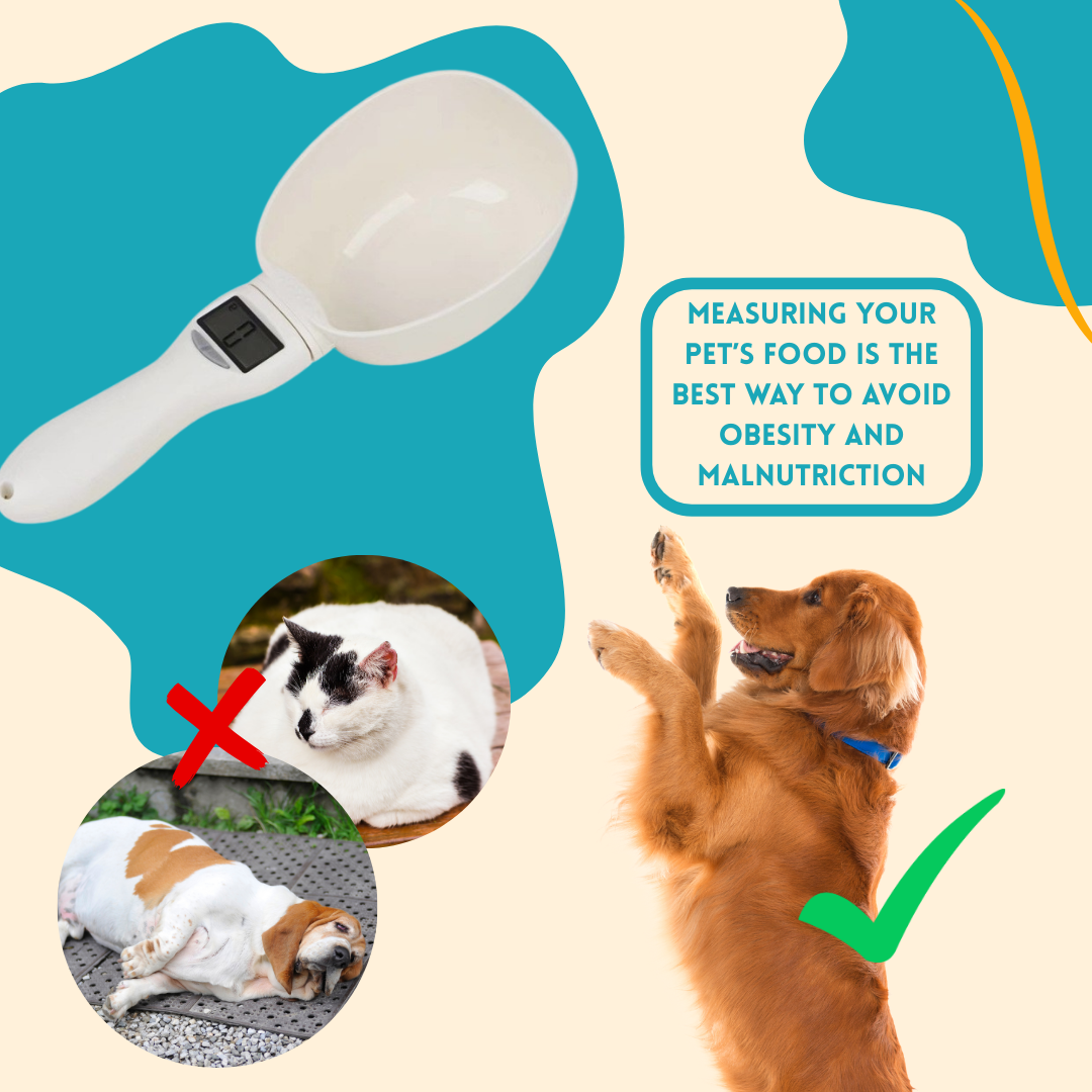 Pet Food Weighing Spoon