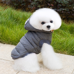Winter Cotton Outfit for Dogs