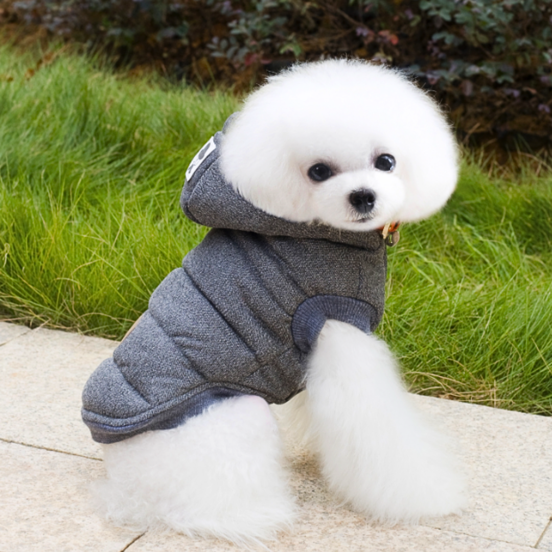 Winter Cotton Outfit for Dogs