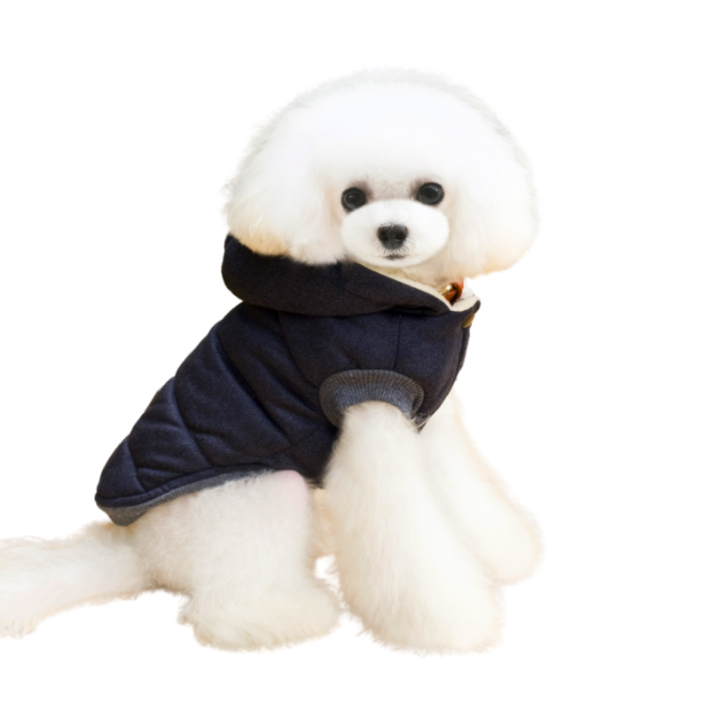 Winter Cotton Outfit for Dogs