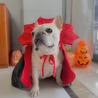 Vampire King Cape for Pets