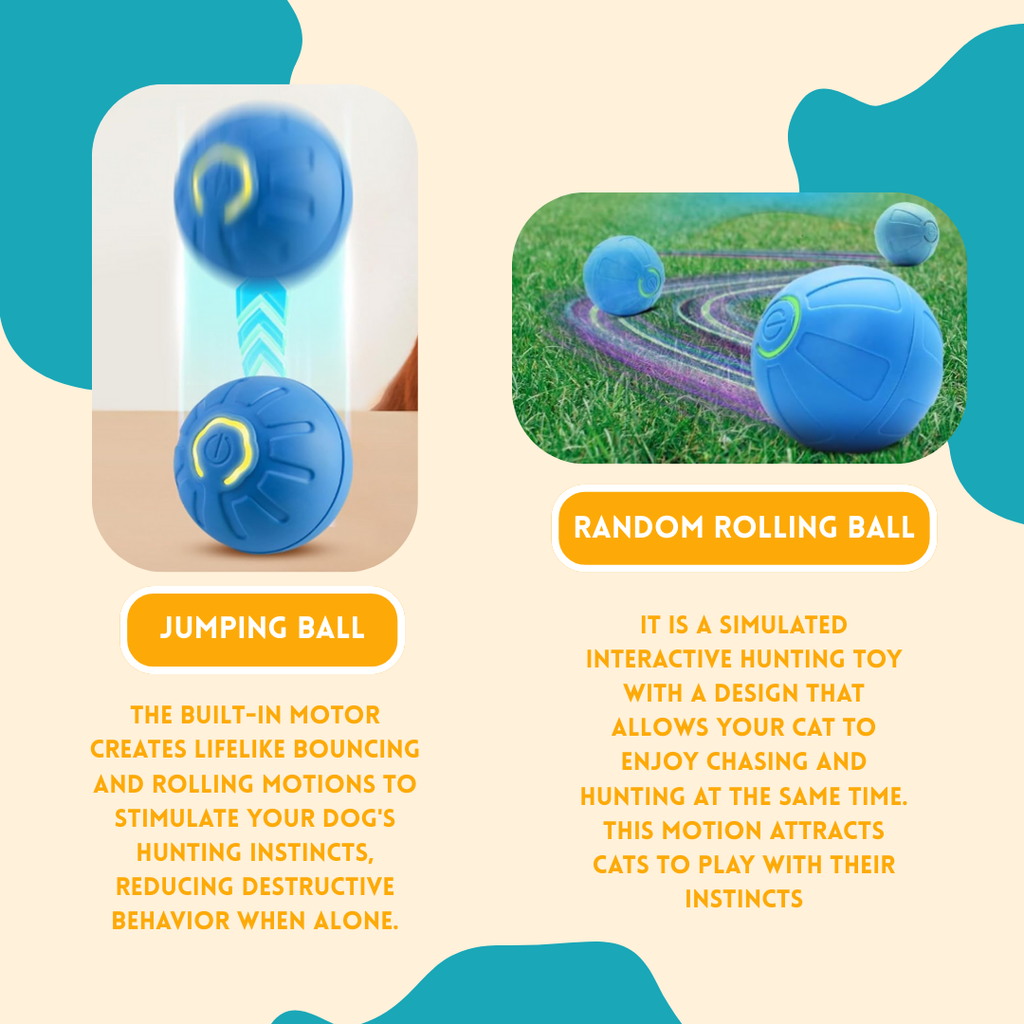 Interactive Smart Dog Toy Ball