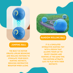 Interactive Smart Dog Toy Ball