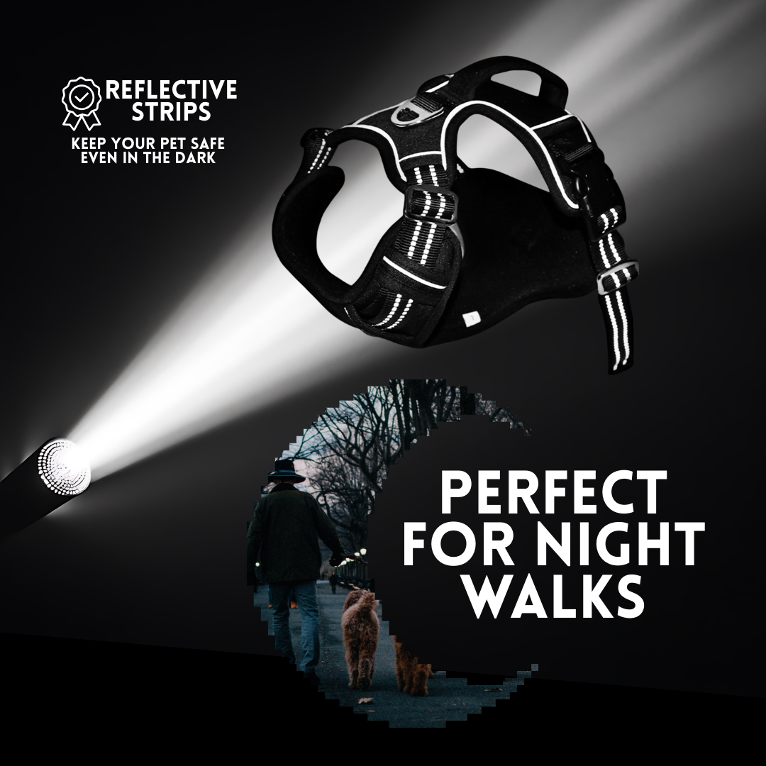 Durable Waterproof Pet Harness