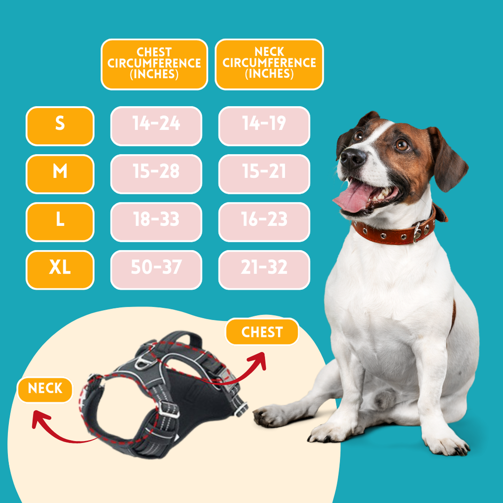 Durable Waterproof Pet Harness