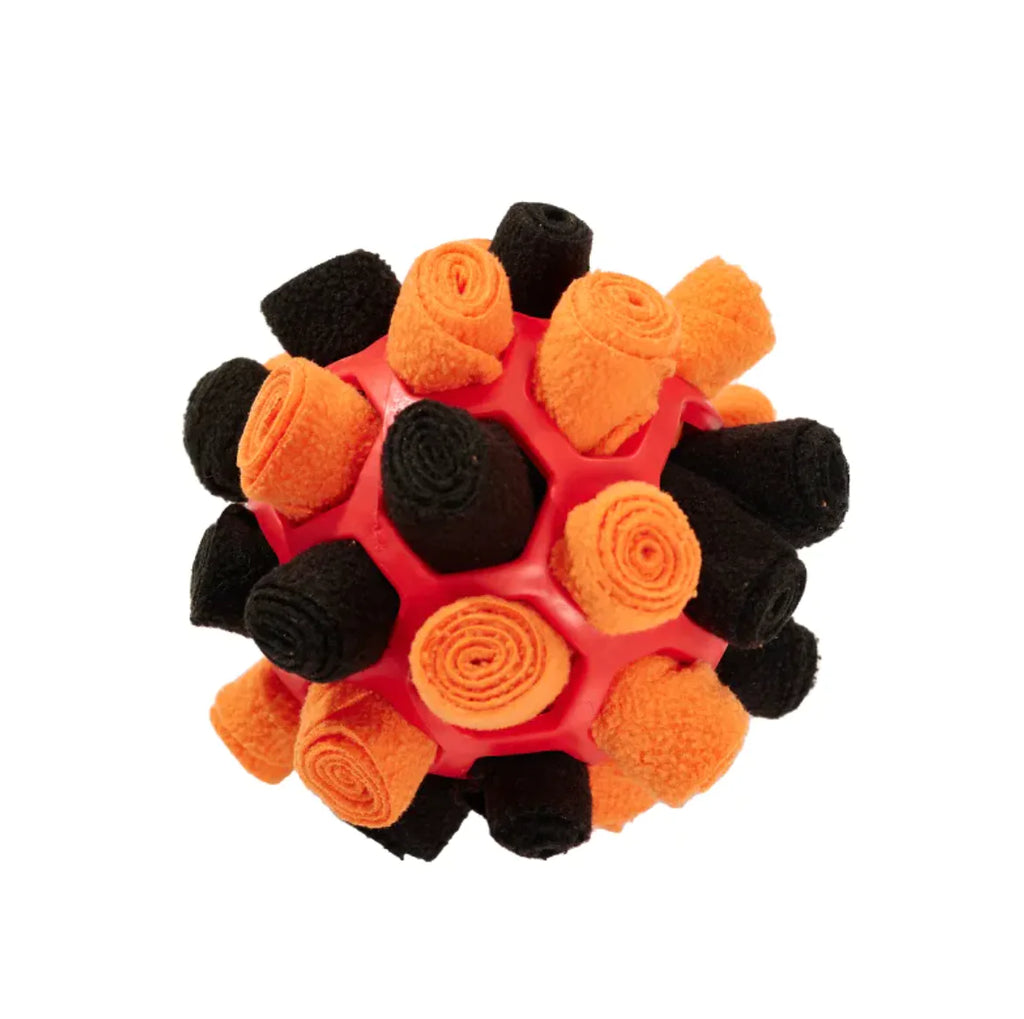 Dog Sniffing Puzzle Ball