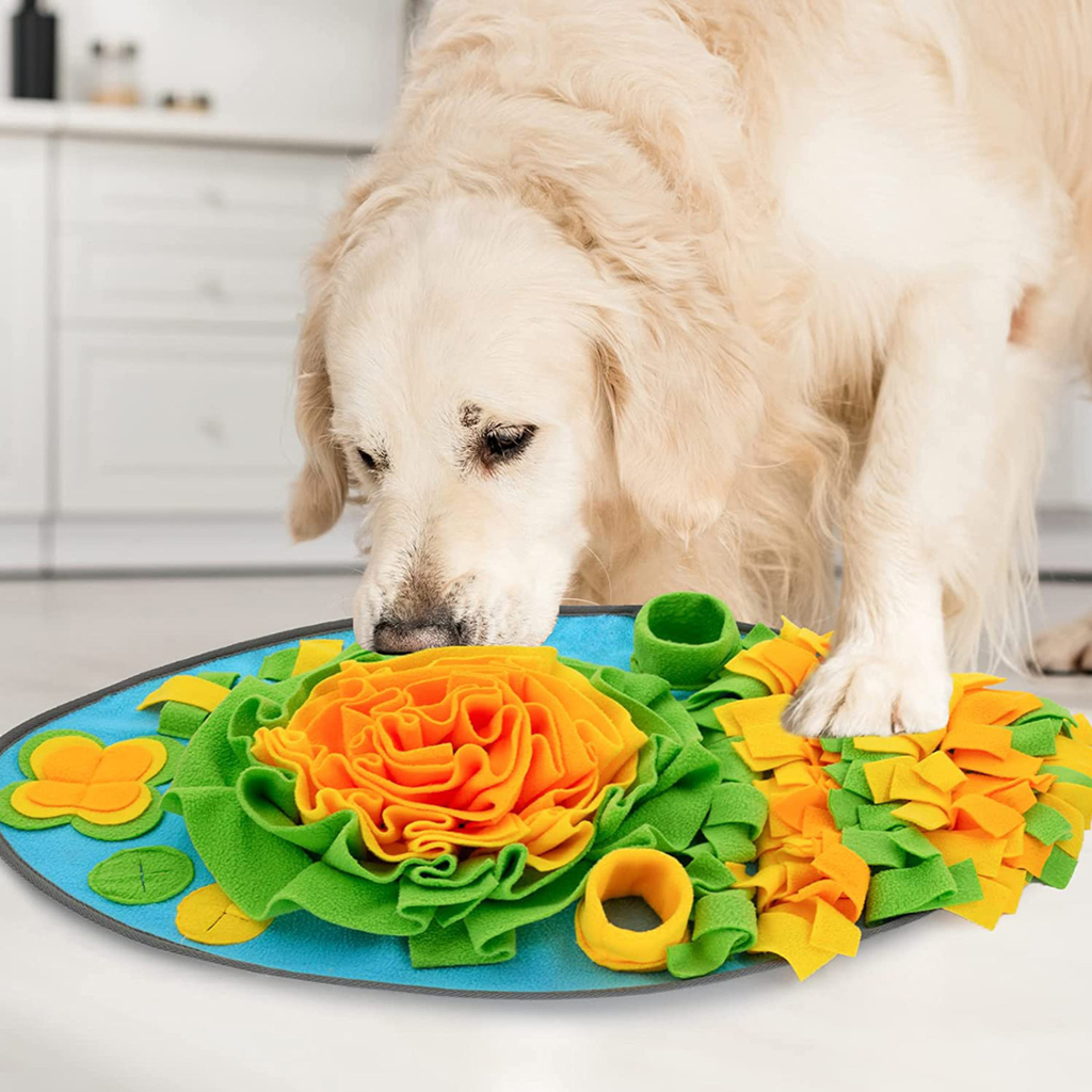 Pet Snuffle Mat Toy